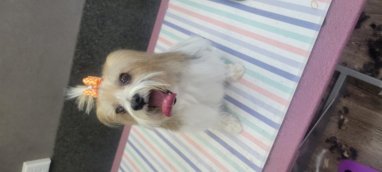 20230410 134144 768x346