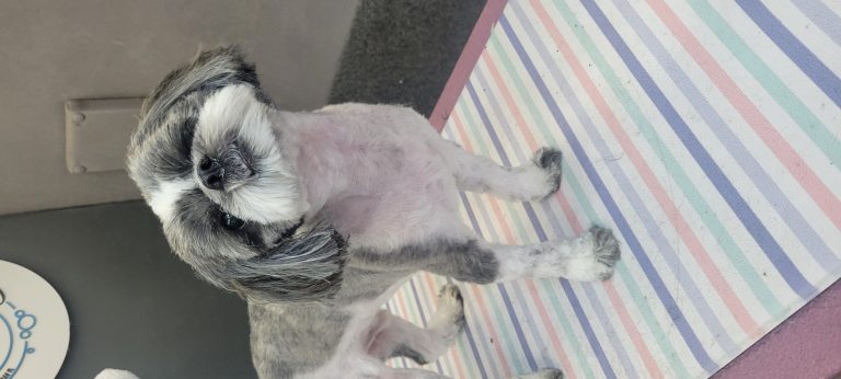 20230411 125427 768x346