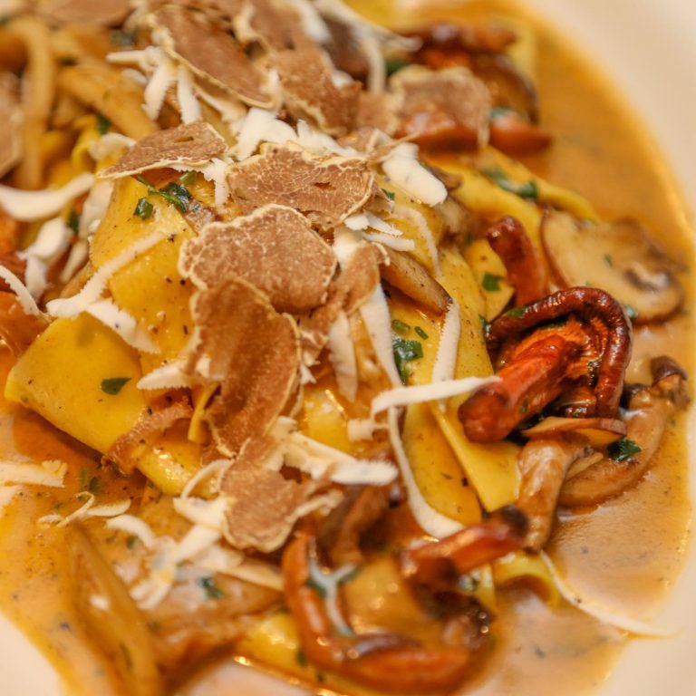 301988504 502969445164830 1928101380360011984 n 768x768