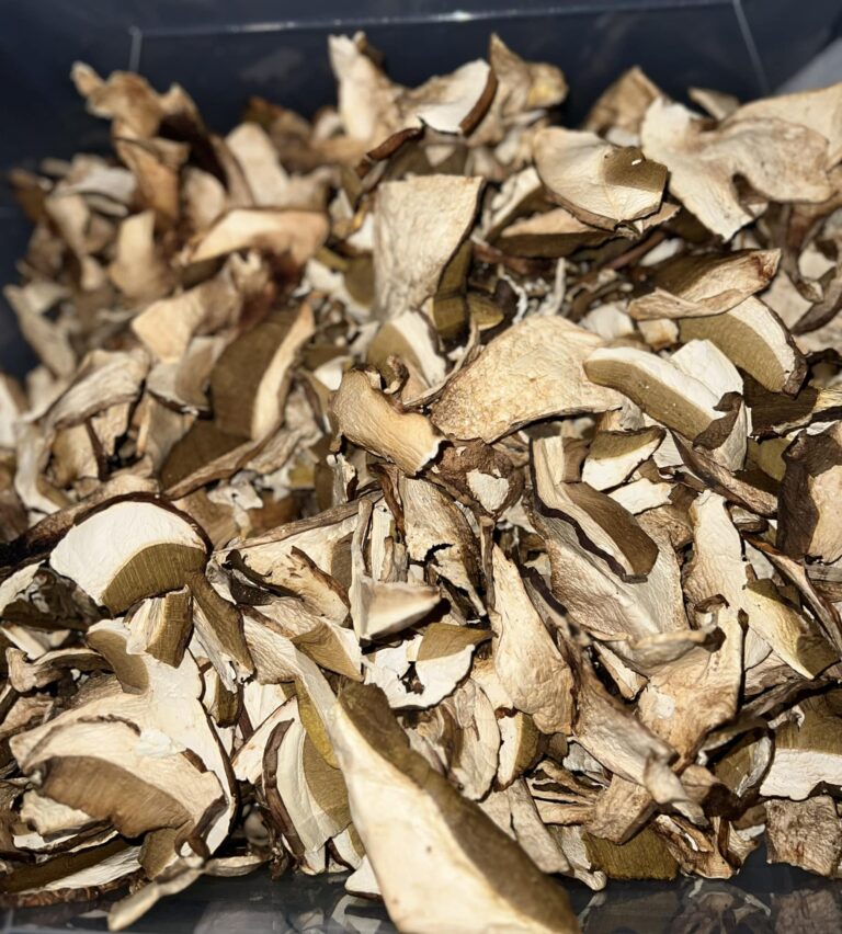 356843385 157883647294086 987692089306586849 n 768x852