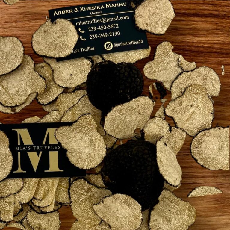 463340905 457064894042625 4772851972777902239 n 768x768