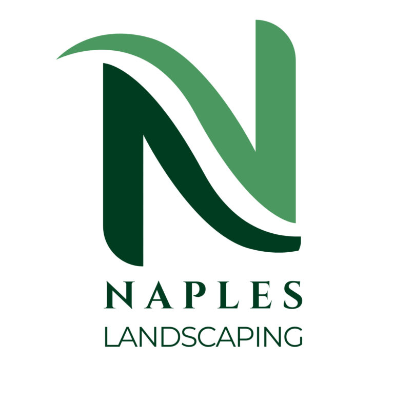 6CEBA030 6D2D 4356 9944 54C306EBF478 1 1 768x788