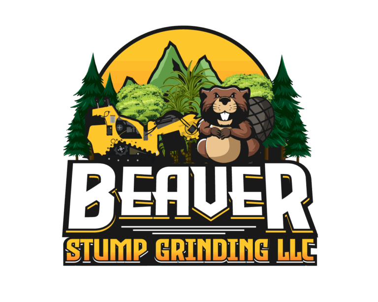 Beaver 768x614