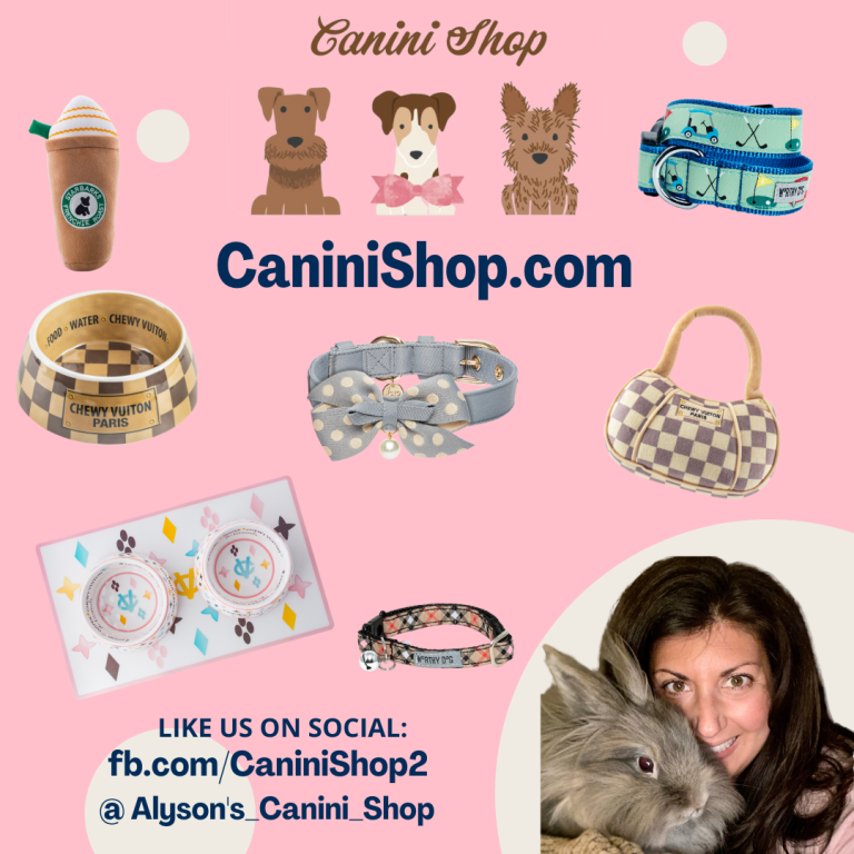 Canini Shop promo Instagram Post Square 768x768