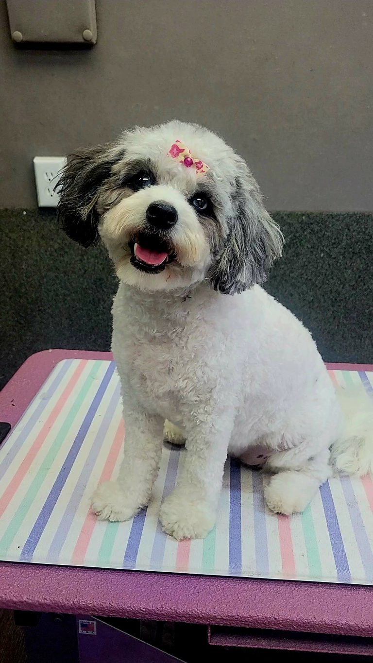 VideoCapture 20230408 184421 768x1365