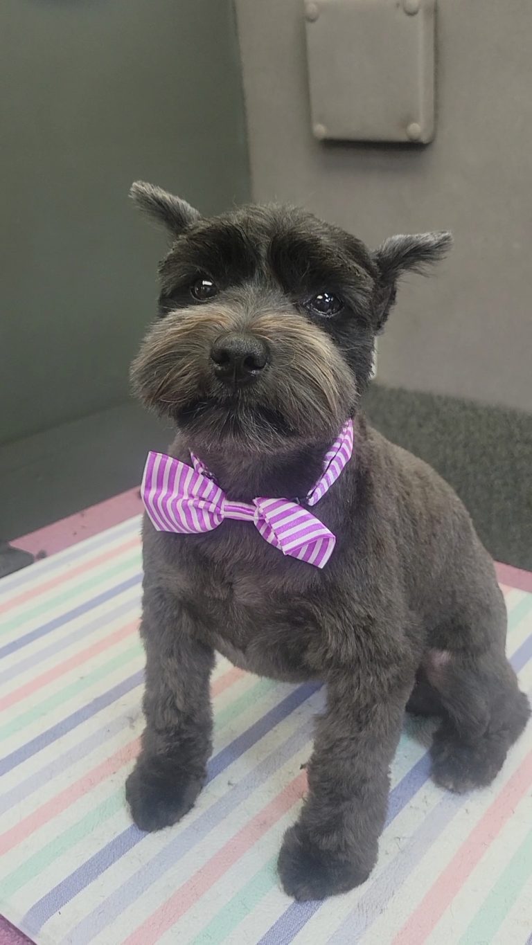 VideoCapture 20230410 122529 768x1365